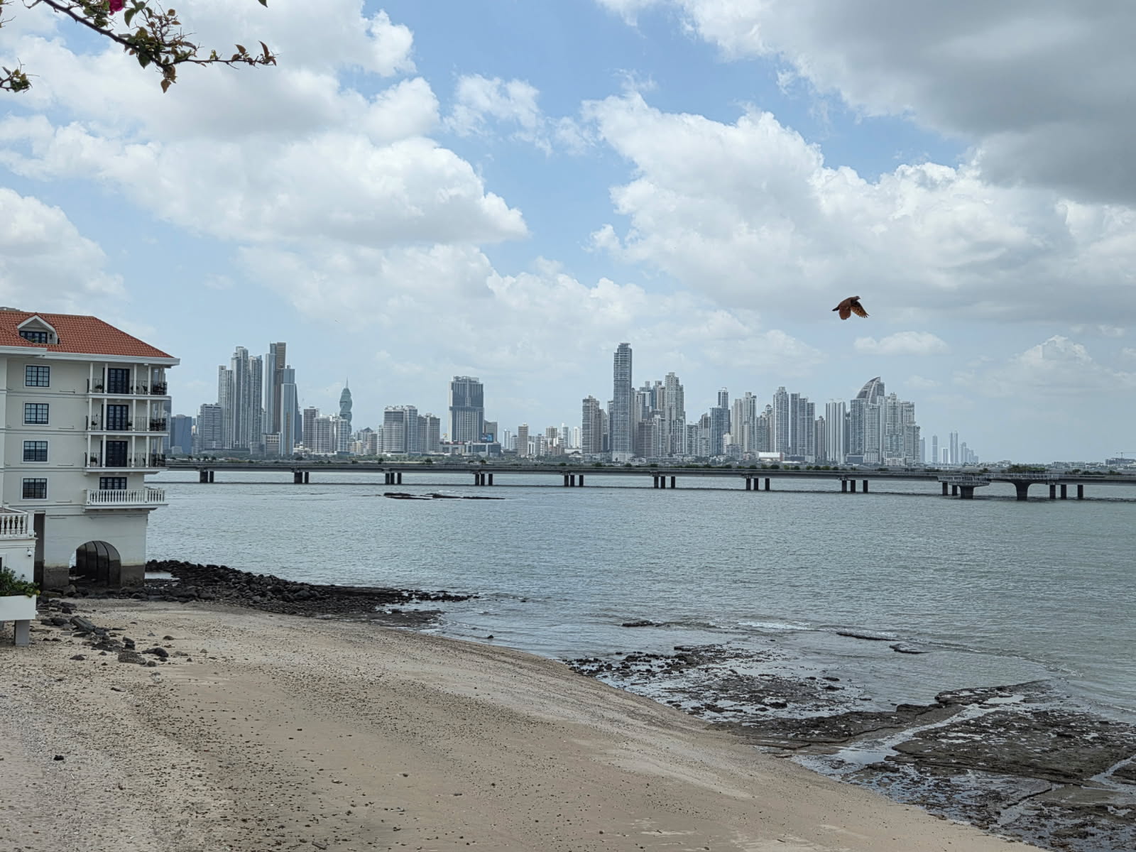 Michael Vater Esq Traveling Lawyer Panama